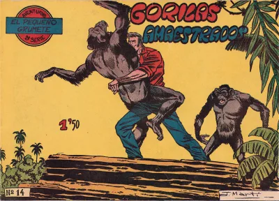Cover of Issue #14