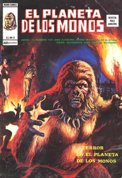 Cover of Issue #13