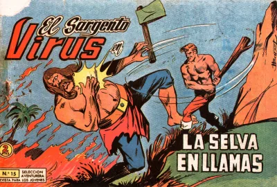 Cover of Issue #15