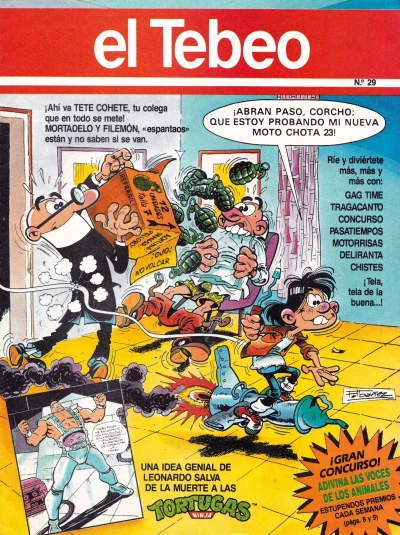 Cover of Issue #29