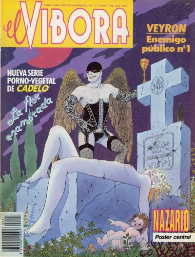Cover of Issue #117