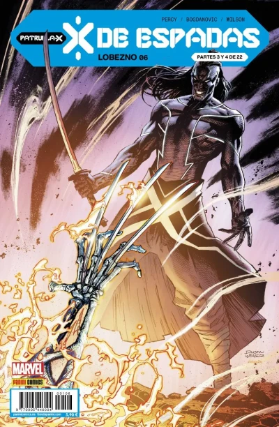 Cover of X de Espadas. Partes 3 y 4 de 22