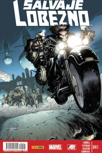 Issue #41