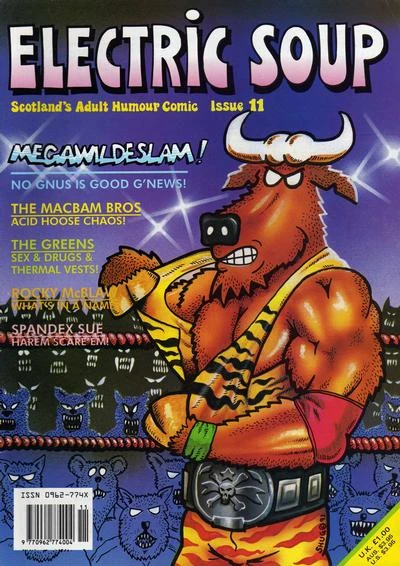 Cover of Issue #11