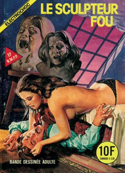Cover of Le Sculpteur fou