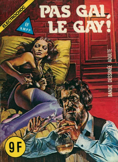Cover of Pas gai, le gay!