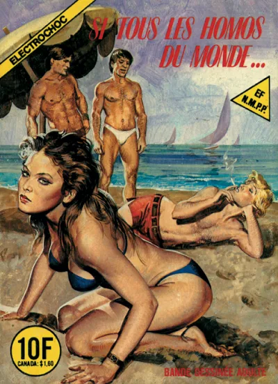 Cover of Si tous les homos du monde …