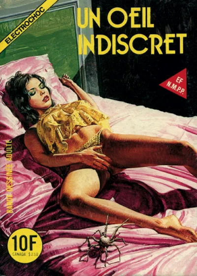Cover of Un oeil indiscret