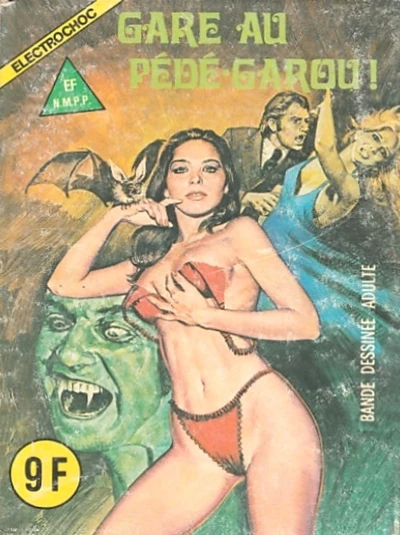 Cover of Gare au Pédé Garou!