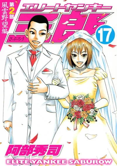 Cover of Vol. 17
