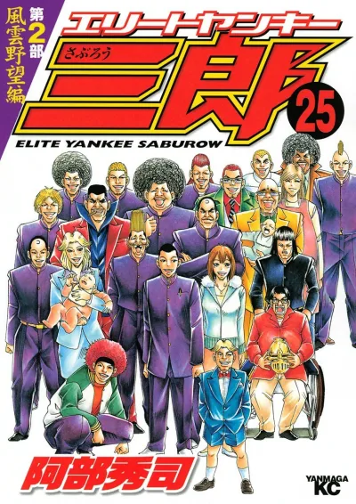 Cover of Vol. 25
