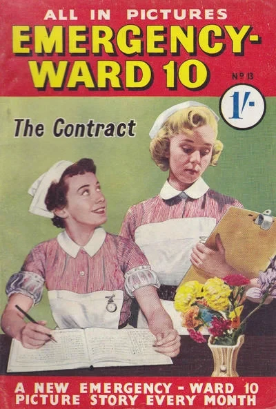 Cover of Issue #13