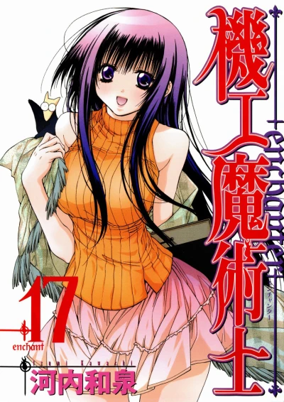 Cover of Vol. 17