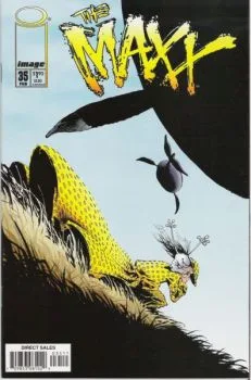 Cover of Endings and Beginnings