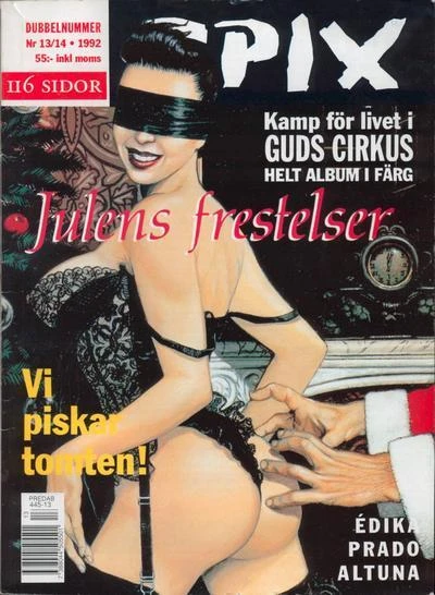 Cover of Issue #199213