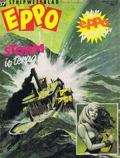 Cover of Storm is terag
