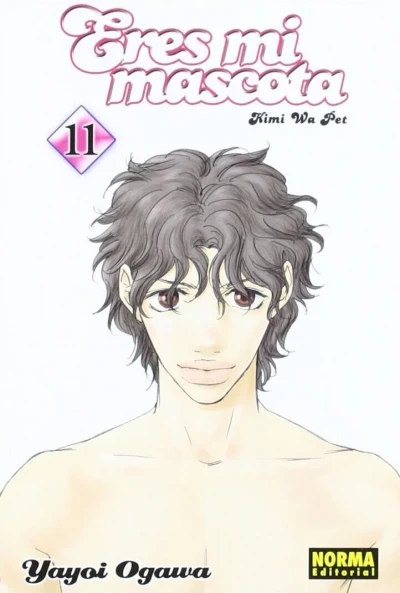 Cover of Issue #11