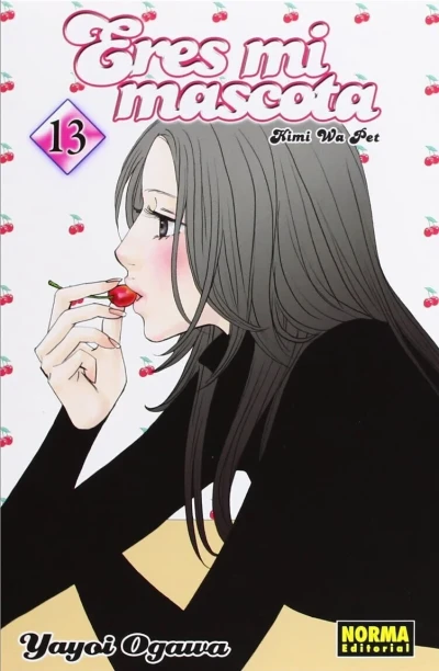 Cover of Issue #13