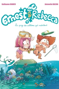 Le pays des cailloux qui marchent