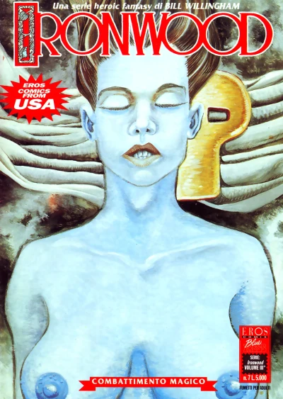 Cover of Ironwood 3: Combattimento magico