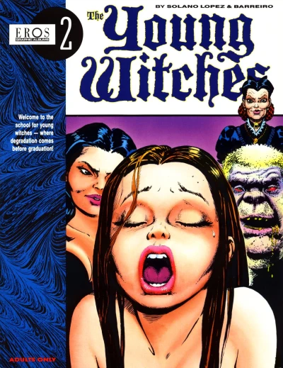 Cover of The Young Witches