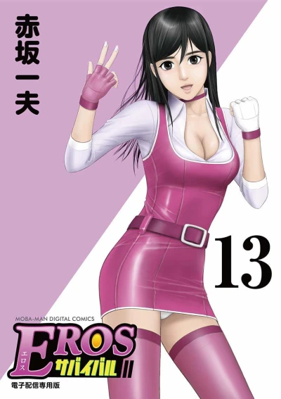 Cover of Vol. 13