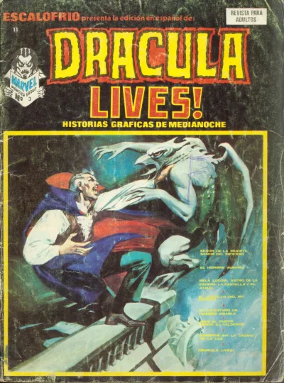Cover of Issue #11