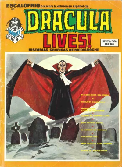 Cover of Issue #15