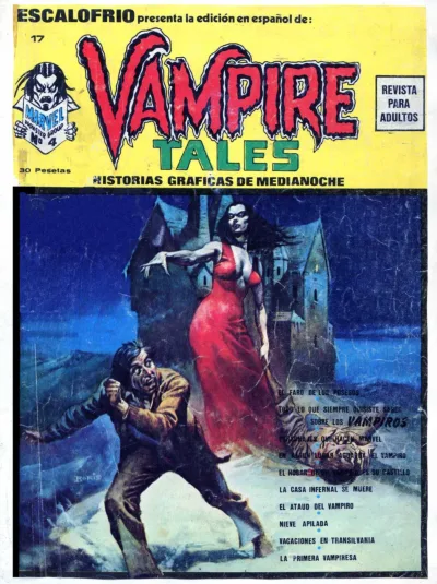 Cover of Issue #17