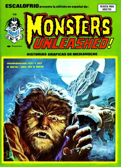 Cover of Issue #19
