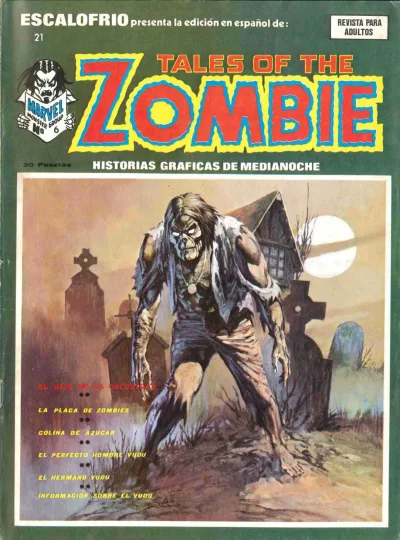 Cover of Issue #21