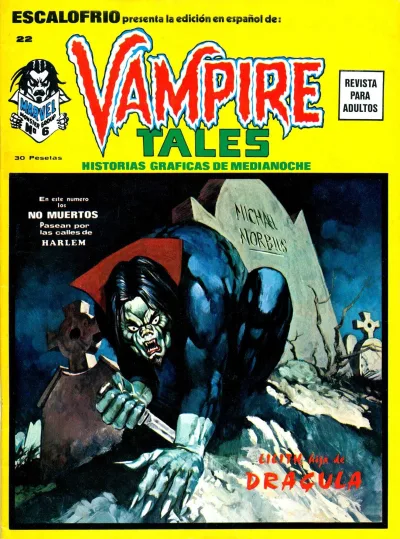 Cover of Issue #22