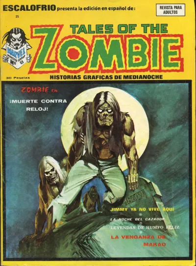Cover of Issue #25