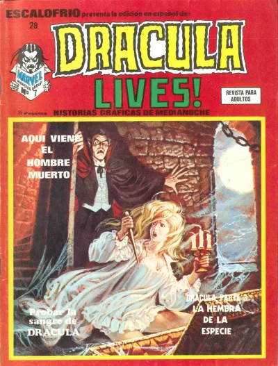 Cover of Issue #28