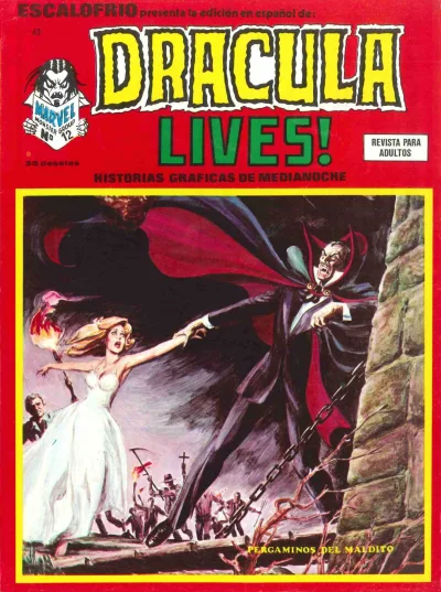 Cover of Issue #43