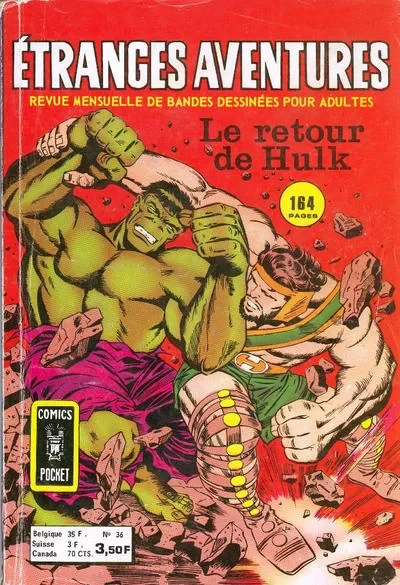 Cover of Le retour de Hulk