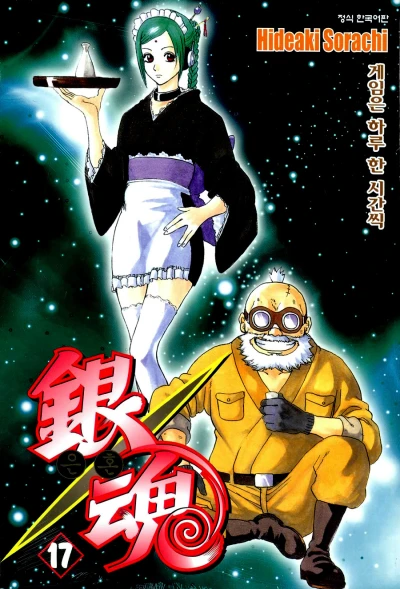 Cover of Vol. 17