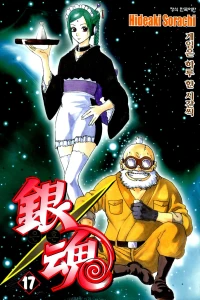 Vol. 17