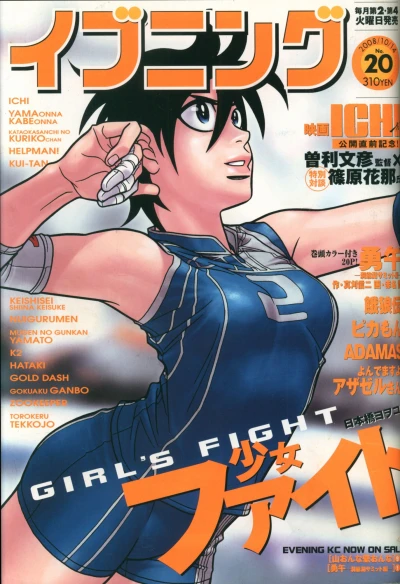Cover of No. 20, 2008