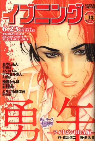 Cover of No. 13, 2009