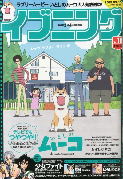 Cover of No. 18, 2013