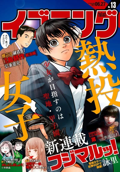 Cover of No. 13, 2017