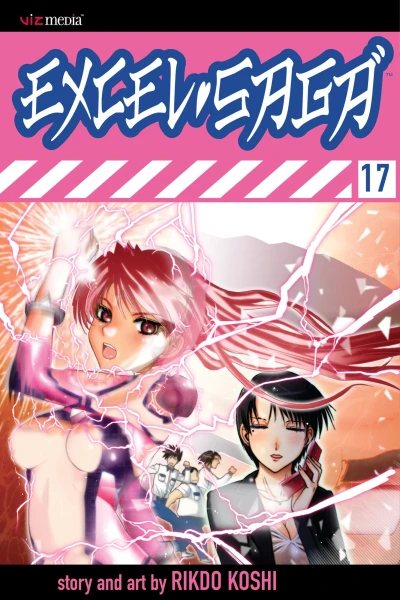 Cover of Vol. 17