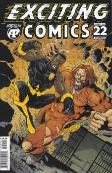 Cover of Issue #22