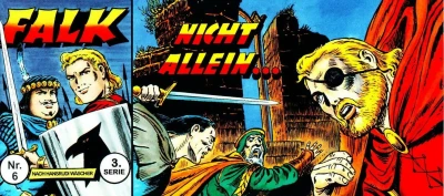 Cover of Nicht allein...