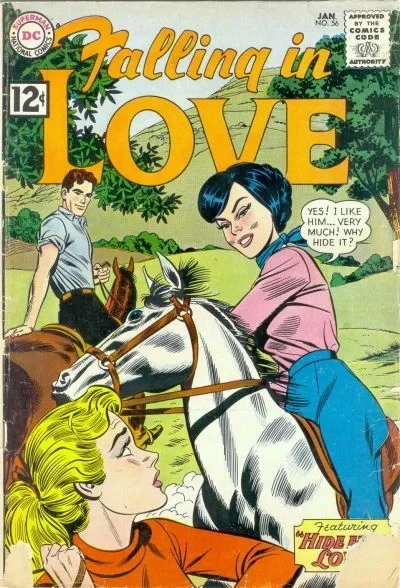 Cover of Hide from Love