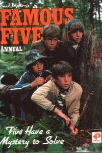 Five Have a Mystery to Solve