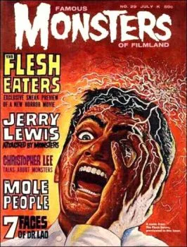 Cover of Issue #29