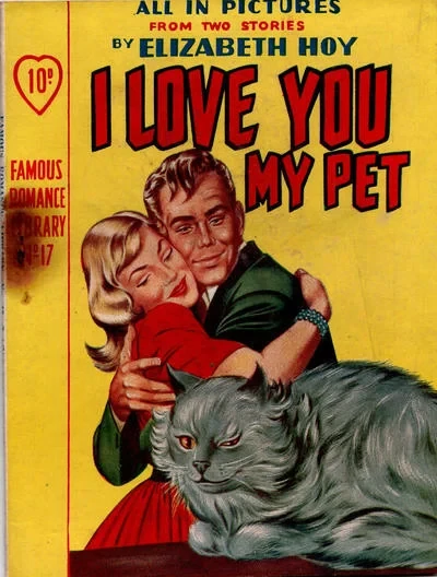 Cover of Issue #17