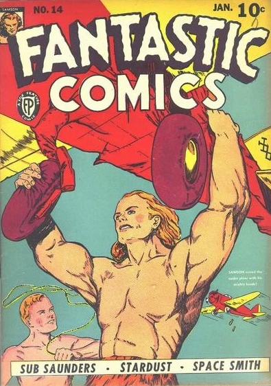 Cover of The Raid on the Raiders